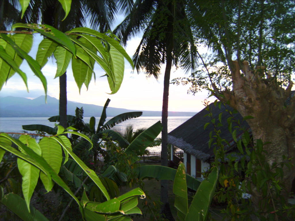 Santander Beach House - Cebu Villa Room photo