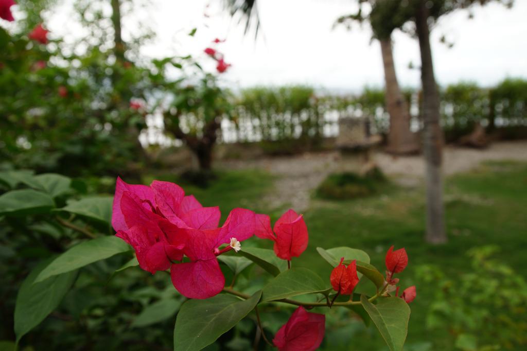 Santander Beach House - Cebu Villa Exterior photo